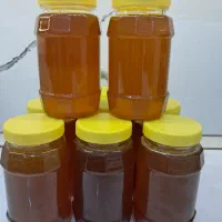 عسل ارگانیک اکالیپتوس