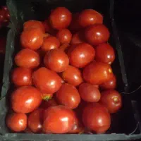 گوجه درجه یک