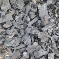 بسته کبابی ۹۰۰گرمی زغال چوب باغی