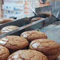 شیرینی گردویی بسته بندی