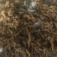 سنبل اطیب درجه یک