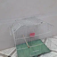 قفس پرنده