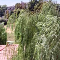 واحد-73متری-سند-دار-کیانمهر-بوستان