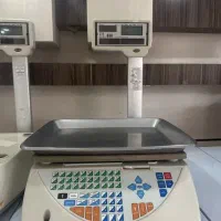 ترازو کارینpc100
