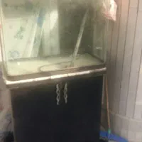 آکواریوم دلسا