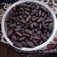 خرما ربی