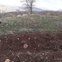 سرکارگرکشاورزی دسکنه نخود