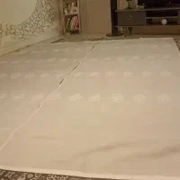 پرده سفید