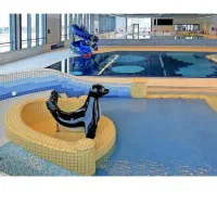 بلیط استخر امیر کبیر