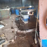 آبکاری روی سیانوری و اسیدی