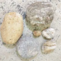 پک 6عددی توپی