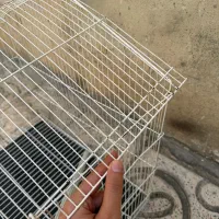 قفس|لوازم جانبی حیوانات|ایلام, |دیوار