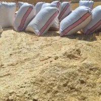 فروش کاه تازه نرم