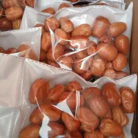 سنجد تازه نرم کیلویی