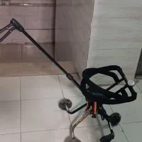 کالسکه رانو