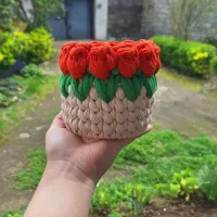 سبدنظم دهنده تریکویی