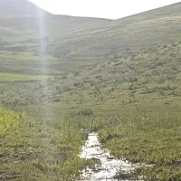 باغ و زمین کشاورزی