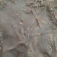قارا بز
