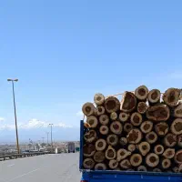 خریدار درخت باغی و چوب خشک سقفی با بالاترین قیمت