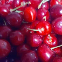 گیلاس تک دانه