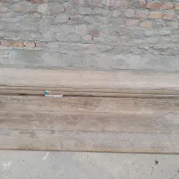 فروش گوسفندی