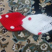 لیف کاموایی ماهی