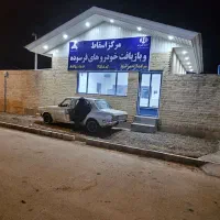 استخدام