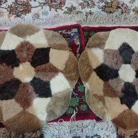 پوست تزیئنی