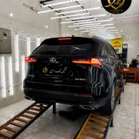 تشخیص رنگ ابراهیمی
