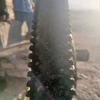 سلام عرض ادب دوچرخه 24