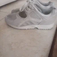 اکومنت صندل