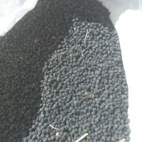 نخود سیاه