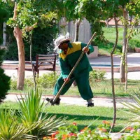 استخدام نیرو اتباع افغان برای فضای سبز