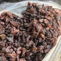کش مش تاکستان ارسال به کل ایران