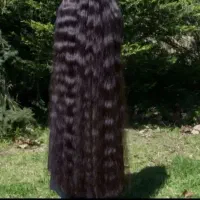 مرکز خرید موی طبیعی بانوان