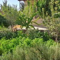 ویلا واقع در استان مرکزی شهر اراک