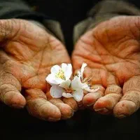 دعوت به مشارکت از کل اصناف در ارائه هرنوع خدمات