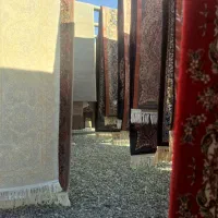 قالیشویی در نسیم شهر حصارک گلستان الهیه