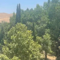 باغ گرو۱/ ۵۰۳ متری /قصردشت/
