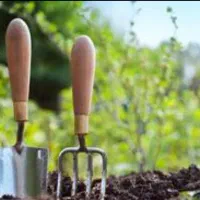 باغبانی هرس اسبار دور درخت کاشت گیاه