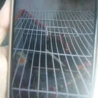 قفس گمشده در17شهریور42