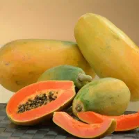 نهال پاپایا