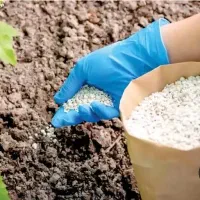 واردات انواع کودهای کشاورزی و بذر و نهال