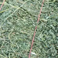 یونجه خشک و درجه یک