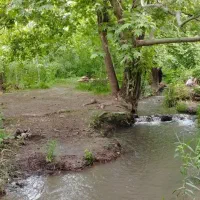 طبیعت گردی و کوه پیمایی