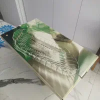 سینی لانگ شامپ