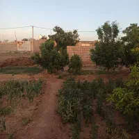 فروش زمین کشاورزی