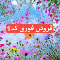 کد1  زنگ خور بسیار کم