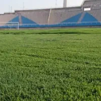 کاشت چمن و نهال