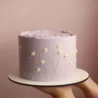 استخدام کیک ساز